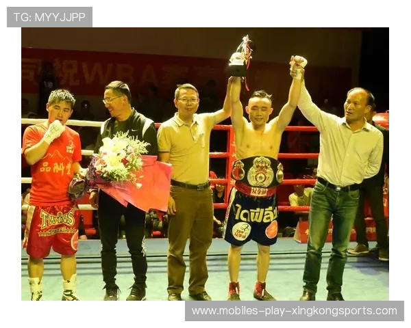 世界拳击协会调查假拳案：金额超千万美元